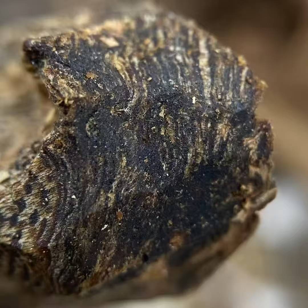 Natural high-oil kynam Oud submerged level Baotou raw materials