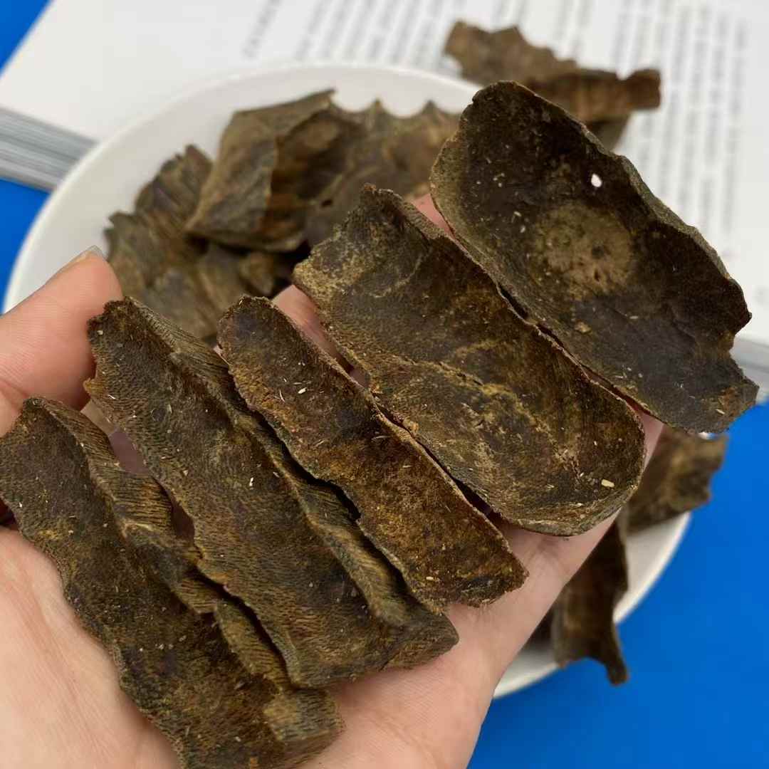 9.9 points underwater grade large chunk of pure oil green kynam Agarwood shell materials 100g
