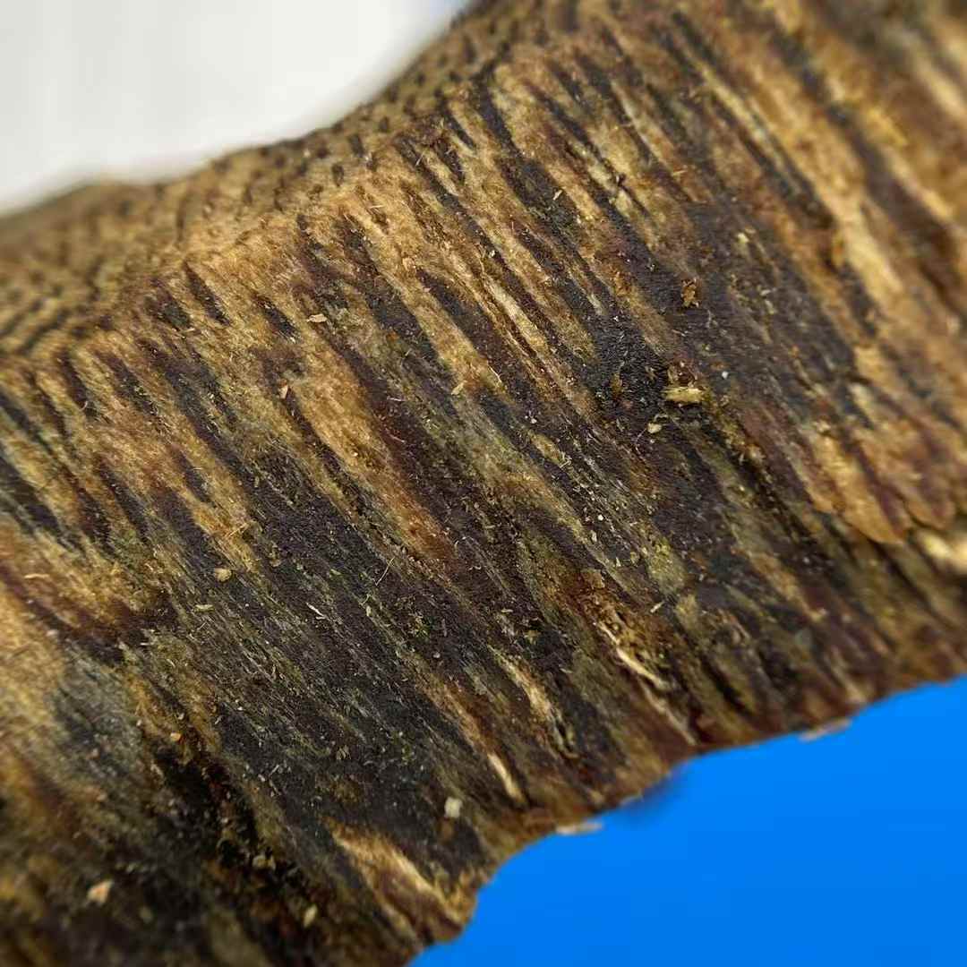 9.9 points underwater grade large chunk of pure oil green kynam Agarwood shell materials 100g