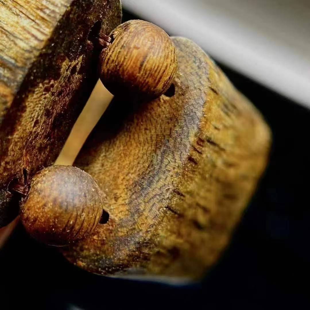 White Kynam Agarwood Double-row bracelet