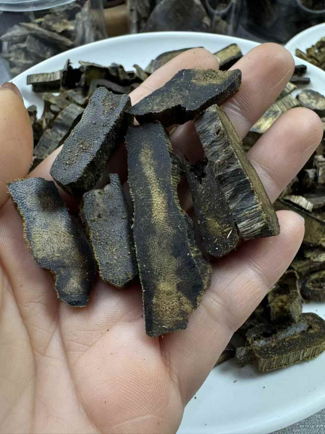 Kynam Agarwood high oil raw material 1kg for Fragrance